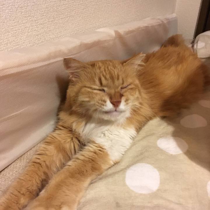 F36ad0e5 9699 4943 9e2b c15fdfff2ab7