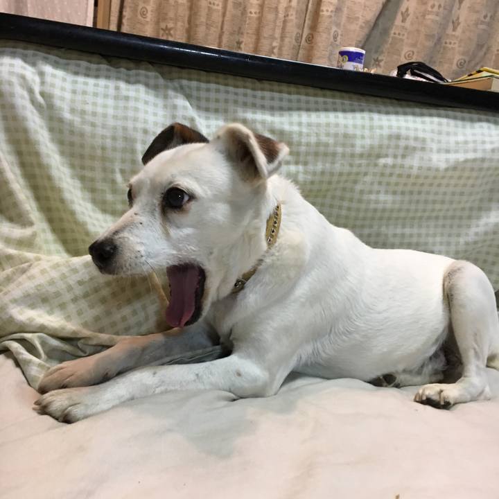 F36adf07 9751 48ee 8db8 da0d106a4247