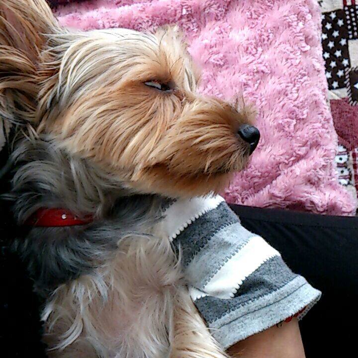 F36b3537 2c9b 4efa 899f 9fed8378fb01