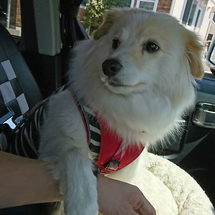 F36b6860 4a2d 43ec af49 09db160b6bcb