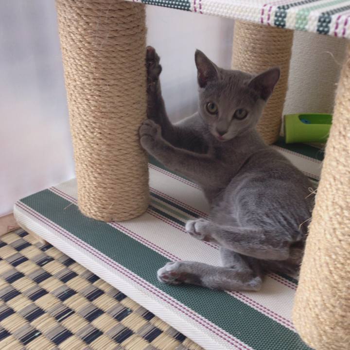 F36bede2 4dca 45de 849b 2237dac8074b