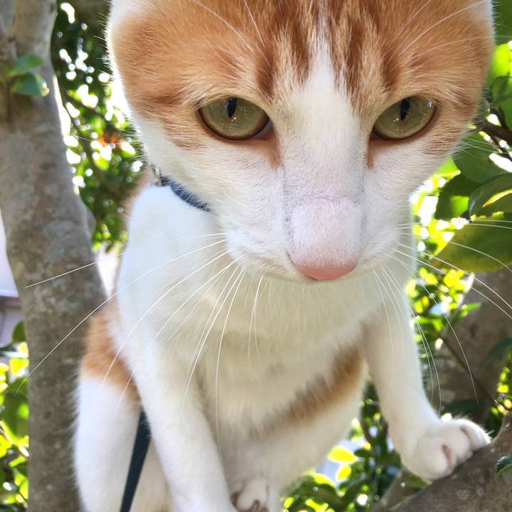 F36e7056 5ad8 4553 8d50 ea0a8ab7ed9b