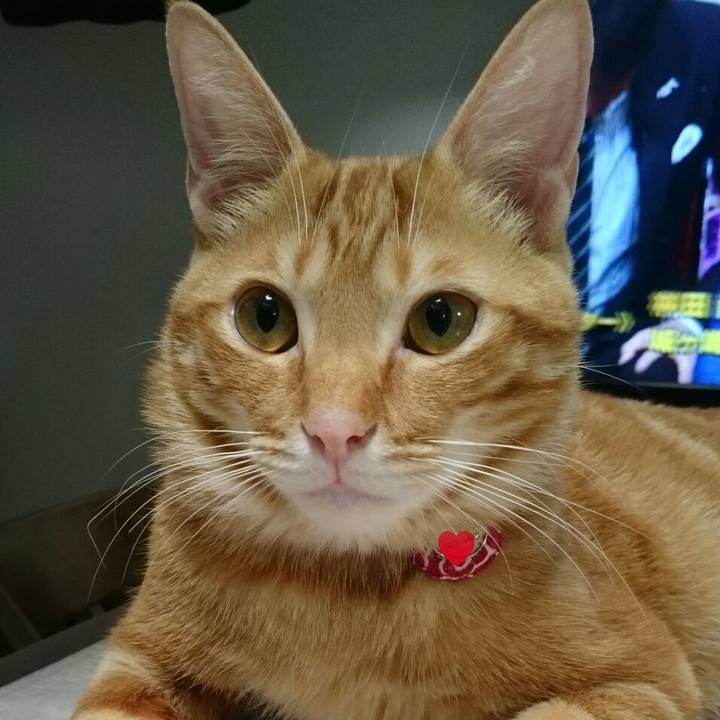 F36e72ca ef15 4ebf 9143 24e1b65c3d11