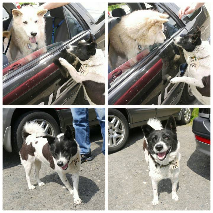 F36eb801 0126 4abd afbc 1229d0ab8ce4