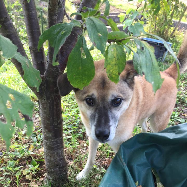 F36ebb61 2734 40d7 afd0 fcfb2c8bb739