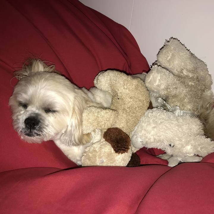 F36faa28 7e58 425f bf7d 2e4f3e2f47ab