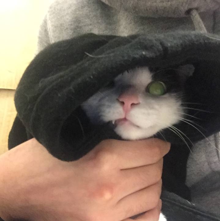 F36fd539 9883 468b 8013 2d3ce2220b48