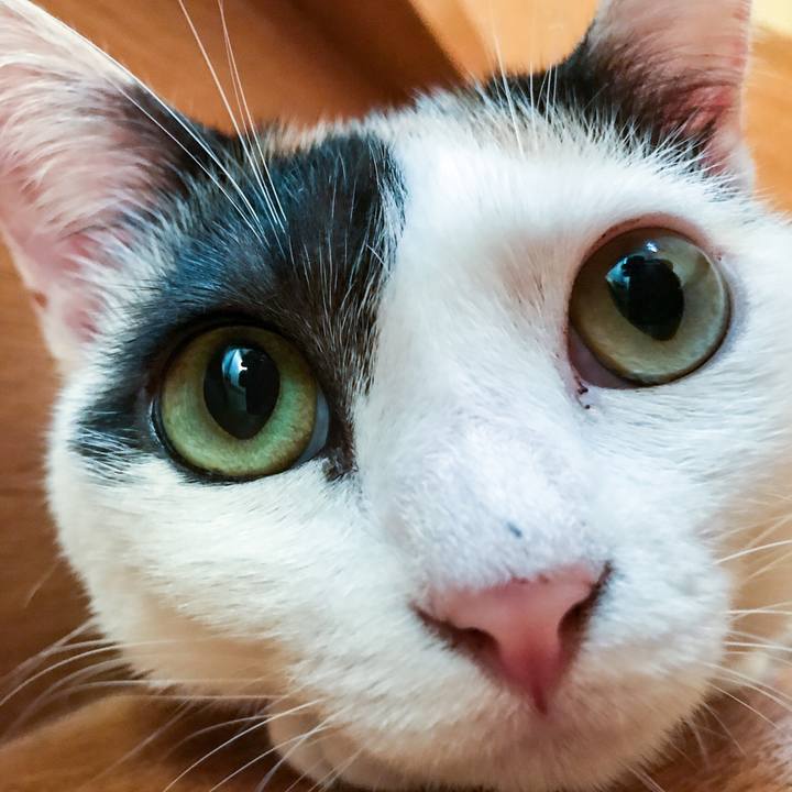 F370b967 911a 4e07 8142 7f38e564bd71