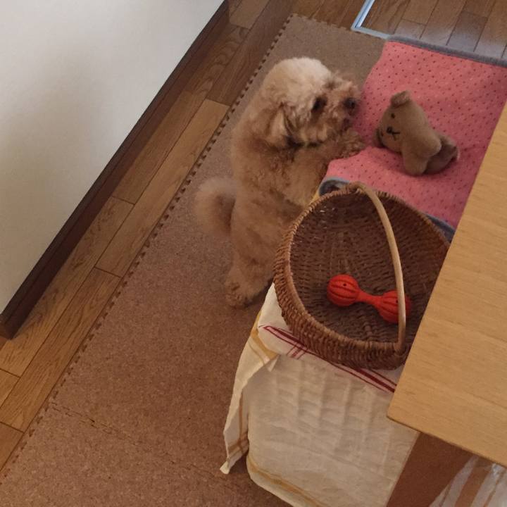 F3710950 c994 42c6 8197 751d093e8d92