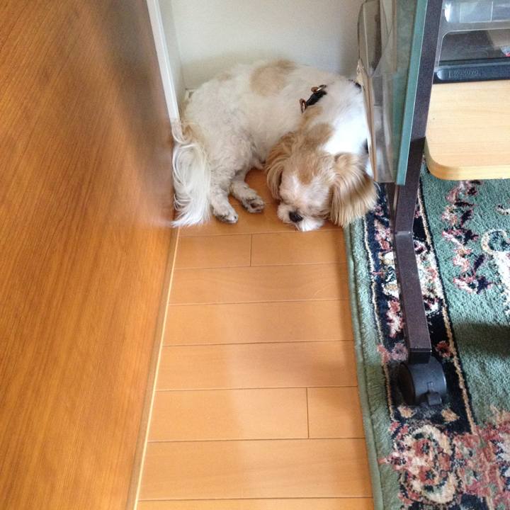 F37109a5 09ec 4ed1 96a0 7b77a330bf61