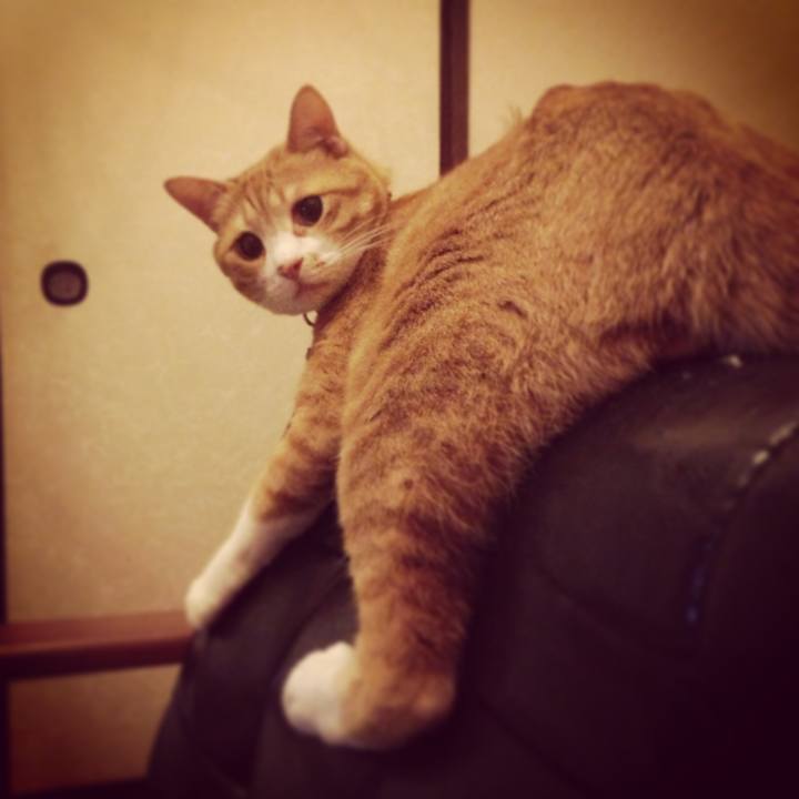 F3716d42 6693 4740 9fca 72118170aae4