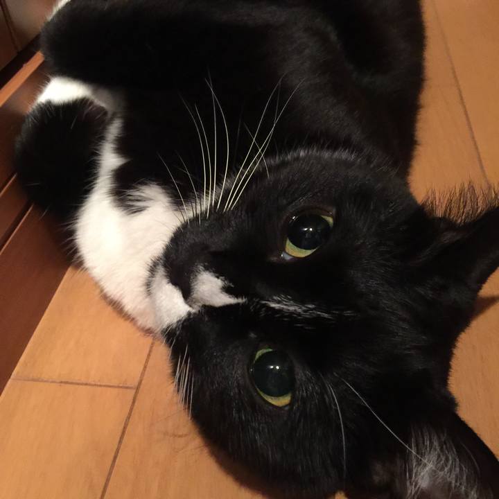 F37176cc c1e1 4bbe bf78 a82a600af438