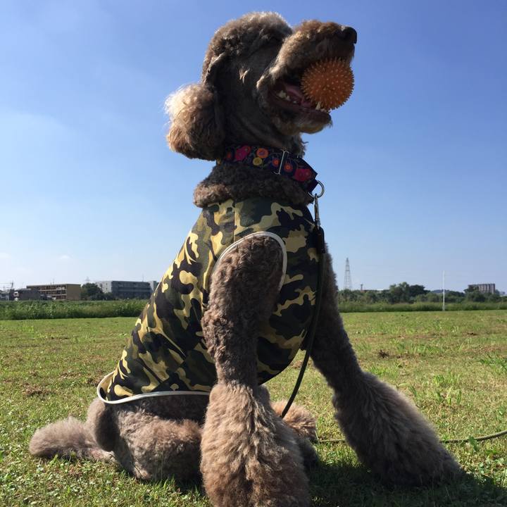 F3717eac 52d8 45d0 8a88 dbc8893aeac5