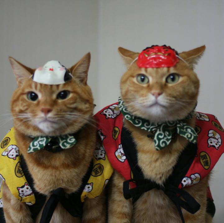 F3723d30 25f7 41a7 be2a ad465ae3f311