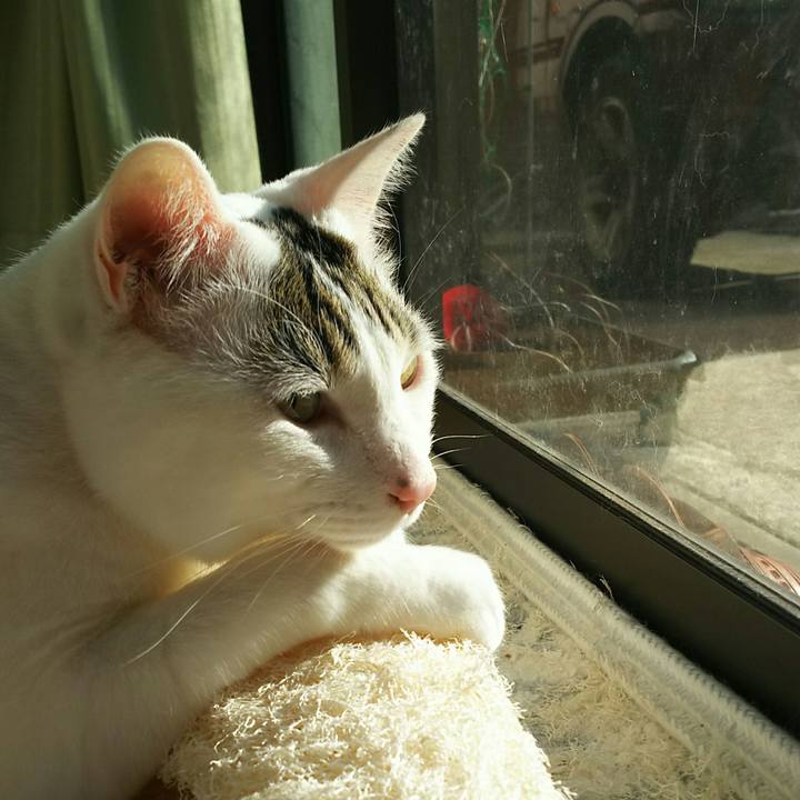 F372bc3b fb28 4039 a43a bf59793be4c2