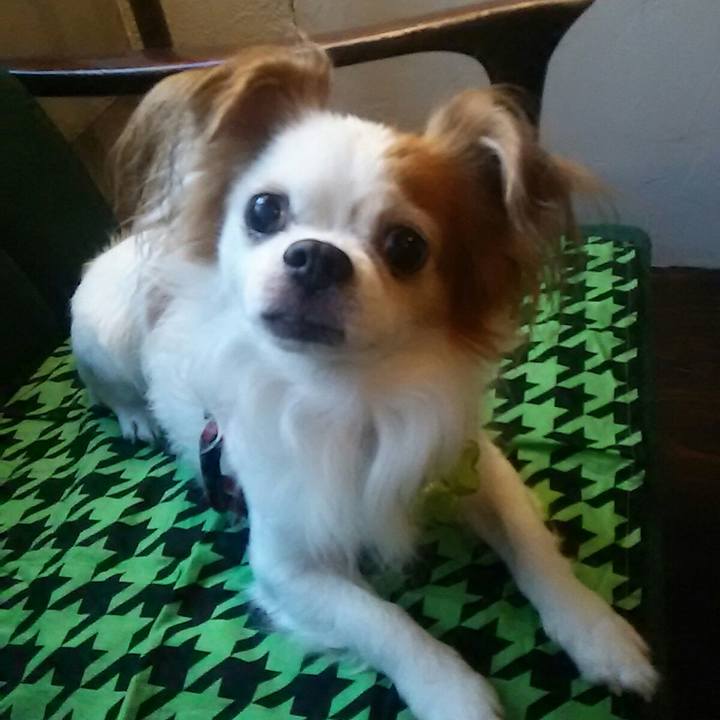 F373b3e9 d5e4 43c4 a336 3d7f75d4ab8a