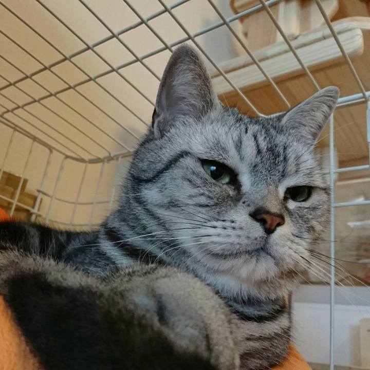 F373b553 670b 4bb0 9ed1 6b0fa7761dc4