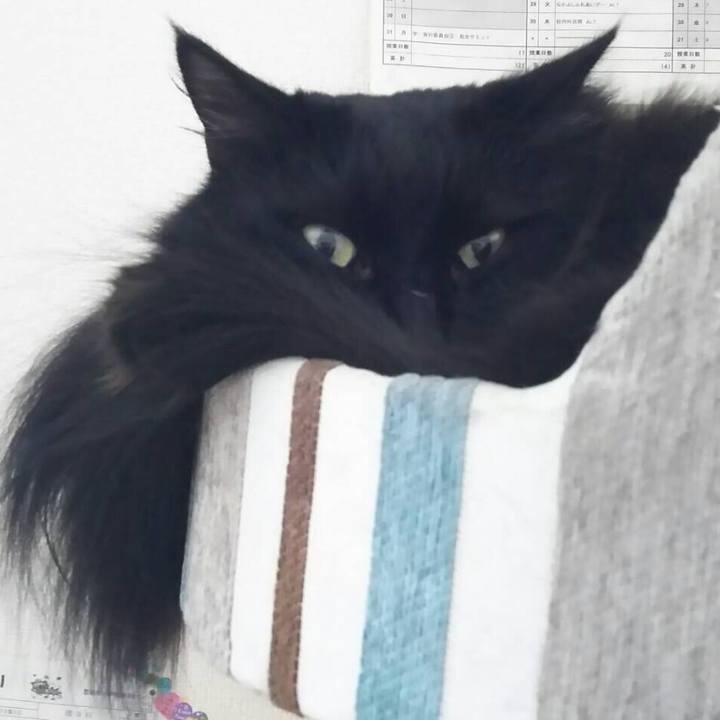 F373bc14 2f01 4733 82de f6aaff1c6a23