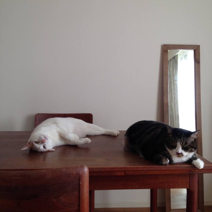 F3749d01 3bf1 44de 83f5 74ccd33cd2b2