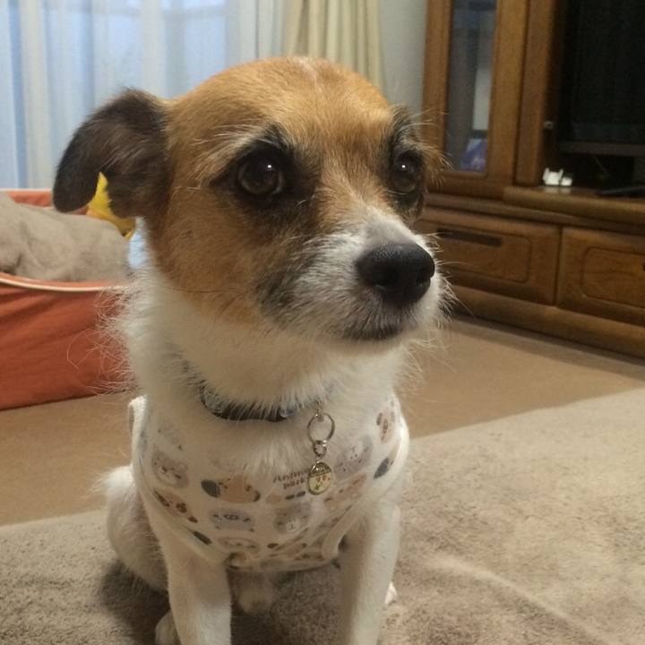 F374d605 8851 4d4b 8ff3 0f553aba6f98