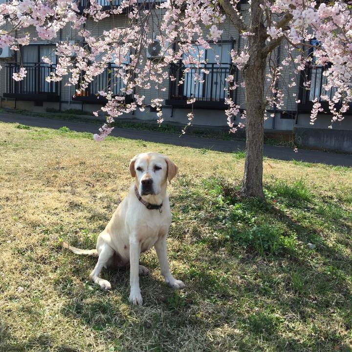 F37515a4 a3c0 408a 96e9 c27fba3709f3