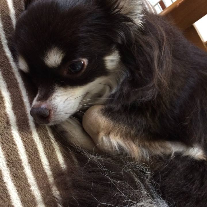 F375b0c6 1358 4b53 9c5e 8d22aa4b6be5