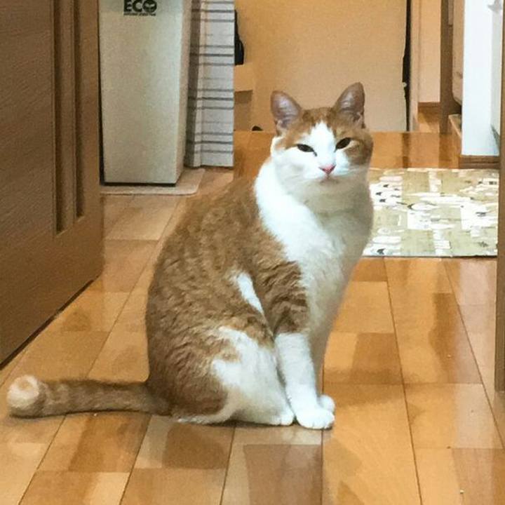 F375b2db 9674 409c b623 ca3c37ea5f46