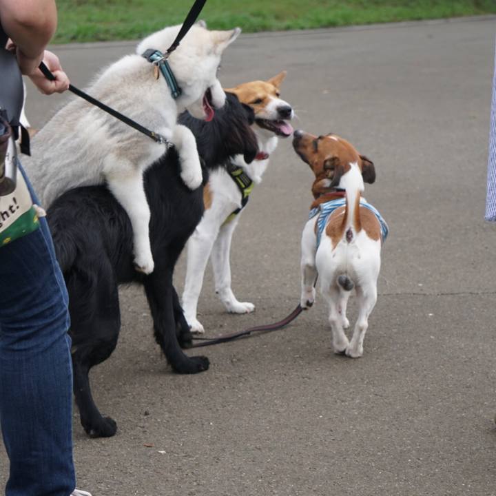 F376b635 0159 499e b425 c1df534c40c7