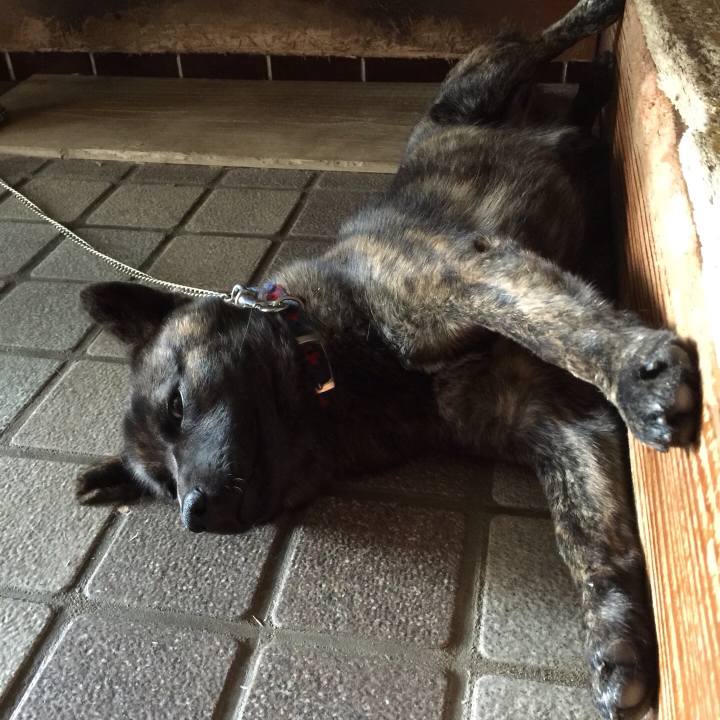 F376d27b 0523 40d6 8434 831f95172158