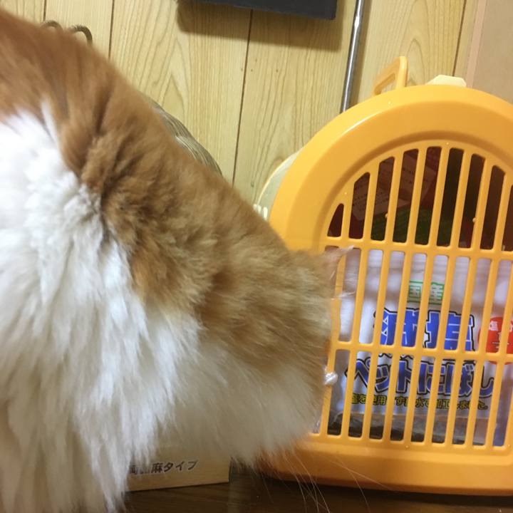 F376db6f 6d8f 4fef b442 275f592de01e