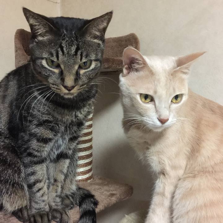 F376e951 bc4e 4f7e 9d5c db8127af3411