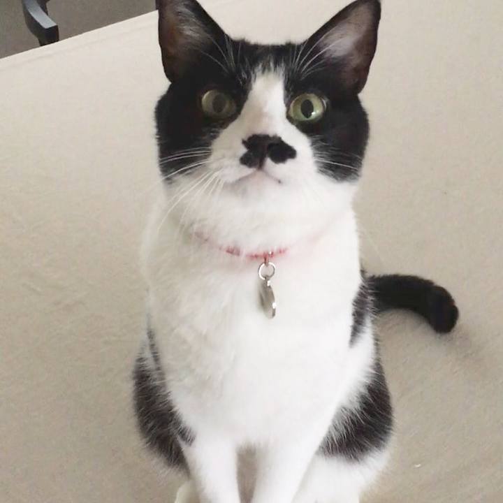 F376f4c7 6ed0 4d77 a940 4135c692395b