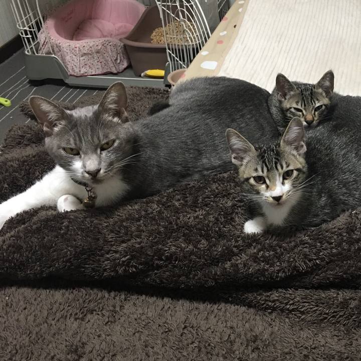 F377eefa d1f8 4eb8 aad0 ede8ce981537