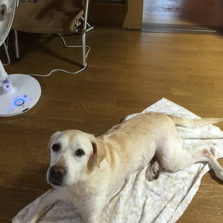 F379ac7f 58fe 4b4b b4c5 58005eb68c4d