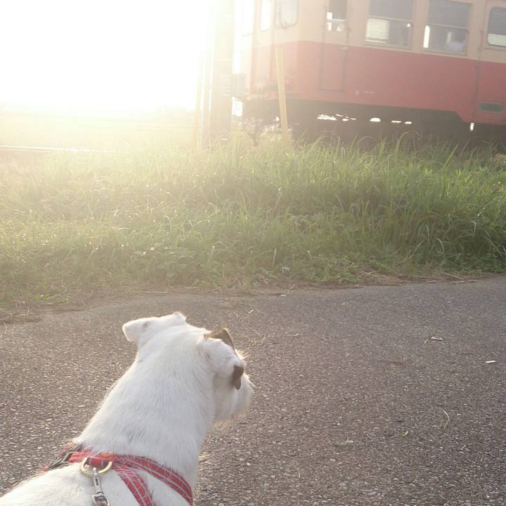 F379fe9c 976c 4c65 9d98 1a571a5c9844