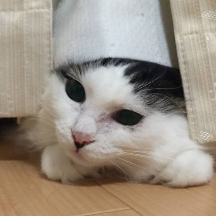 F37a0a9d 4393 4fb9 9693 5e1b373af4bb