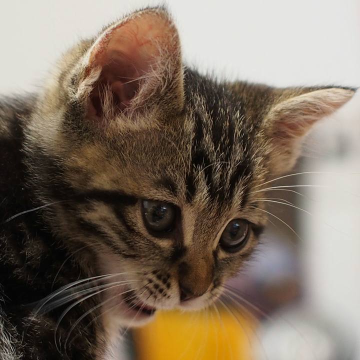 F37a42dd 32fa 4b8e 83d9 29fa944627a2