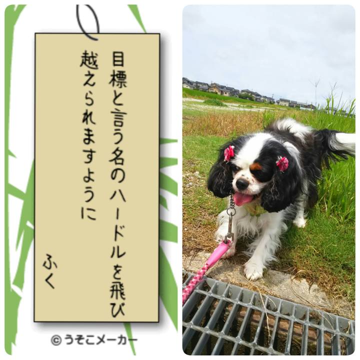 F37a5f49 8ec7 43b8 8b22 f21165ae84b8