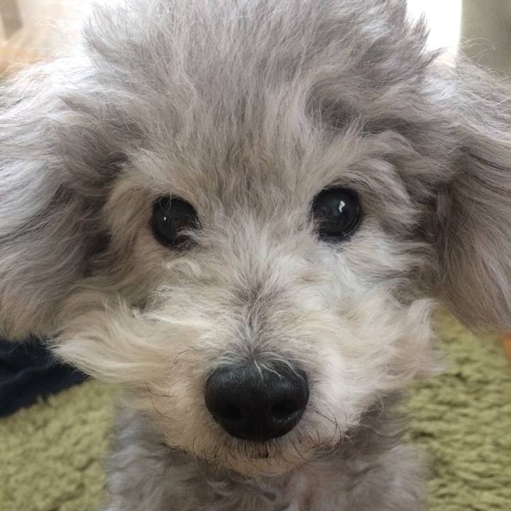 F37ce5ce 5304 4adf 92b9 a0d66e3acc80