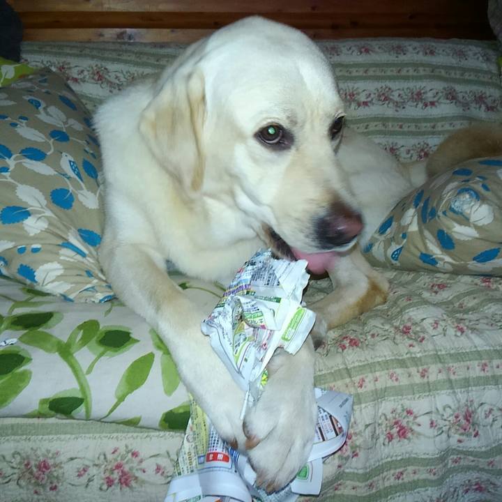 F37d1866 e928 4231 ba4e c0f70fd0afda