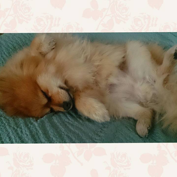 F37d3efc 4717 4d03 9b30 c50c9c5421a7