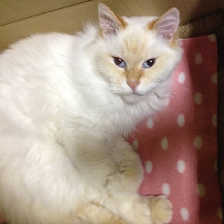 F37deb69 6fd3 403f b48e 444956826b0f