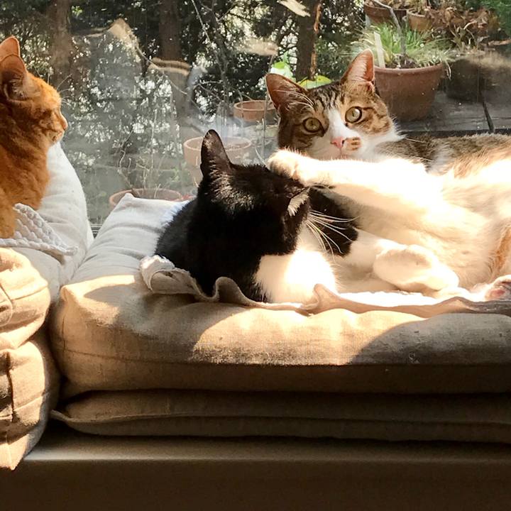 F37df111 8a1a 428a 8bb0 1d265e6aca7e