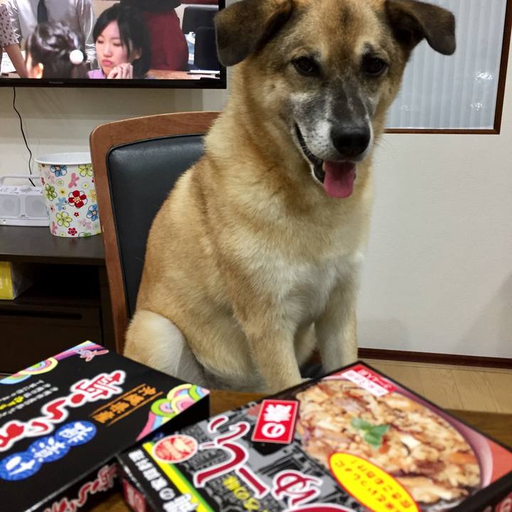 F37e46cd 7a67 4bbc b20a f20166802547