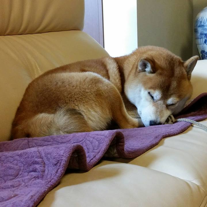 F37f32cf bec7 48c9 ba82 23ecc6446d9c