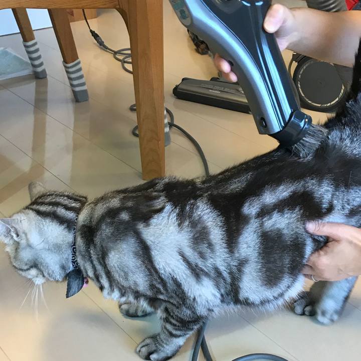 F37f620d f365 4a0a 9305 c77a163c1dd2