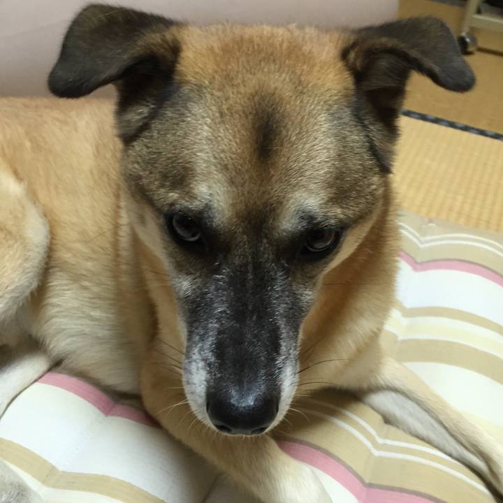 F37f72ff d64c 4071 9074 28ddf3bad875