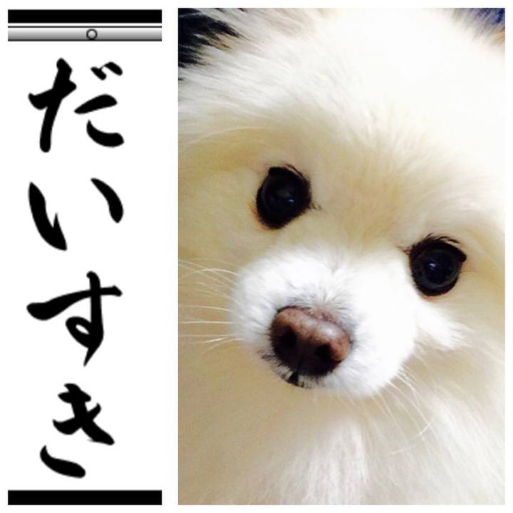 F37f812c e7e2 41ca afec 017474d6bd39