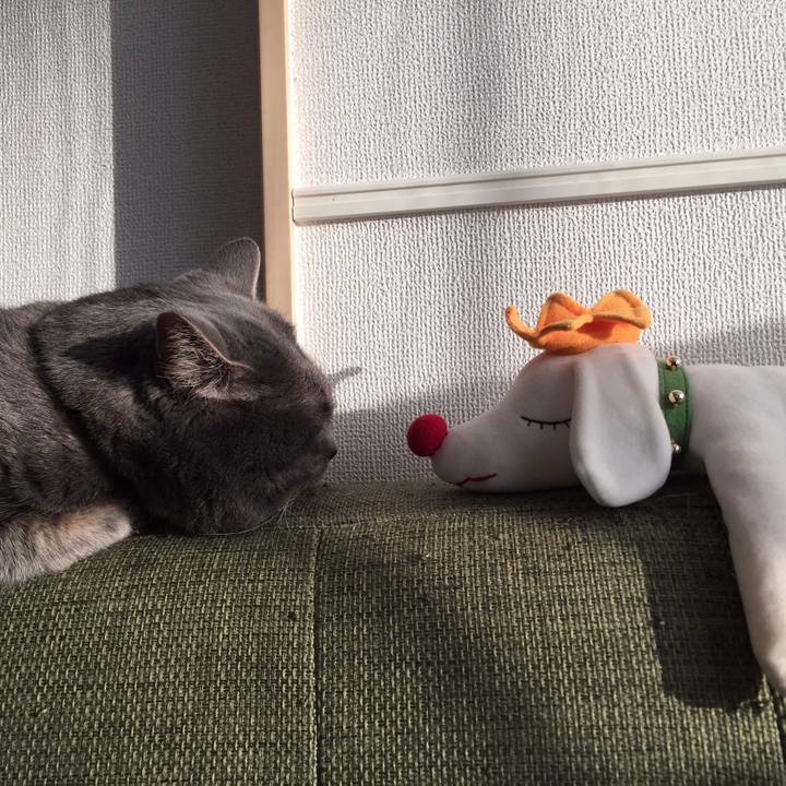 F37fa6c9 585b 4325 a83e 0be524d818bd