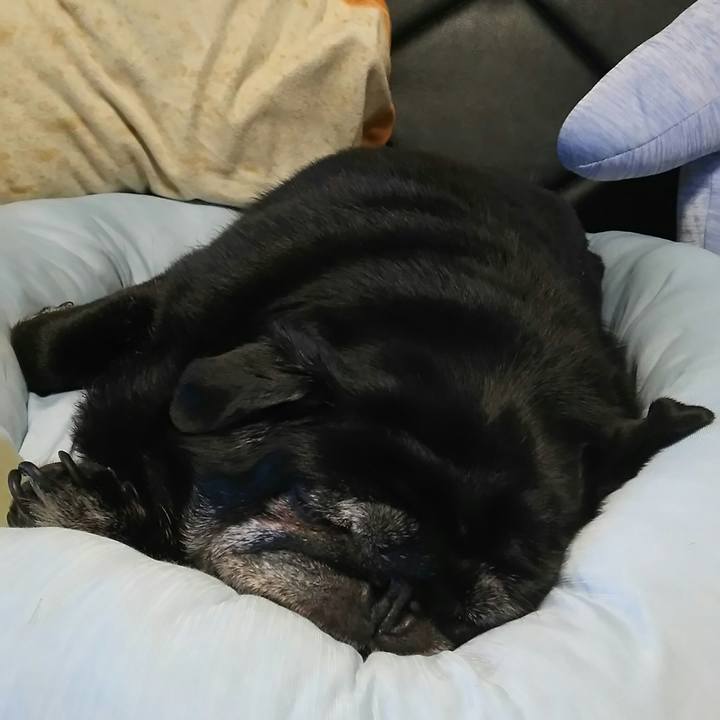 F380261d c192 4675 85d0 15b20daaff96